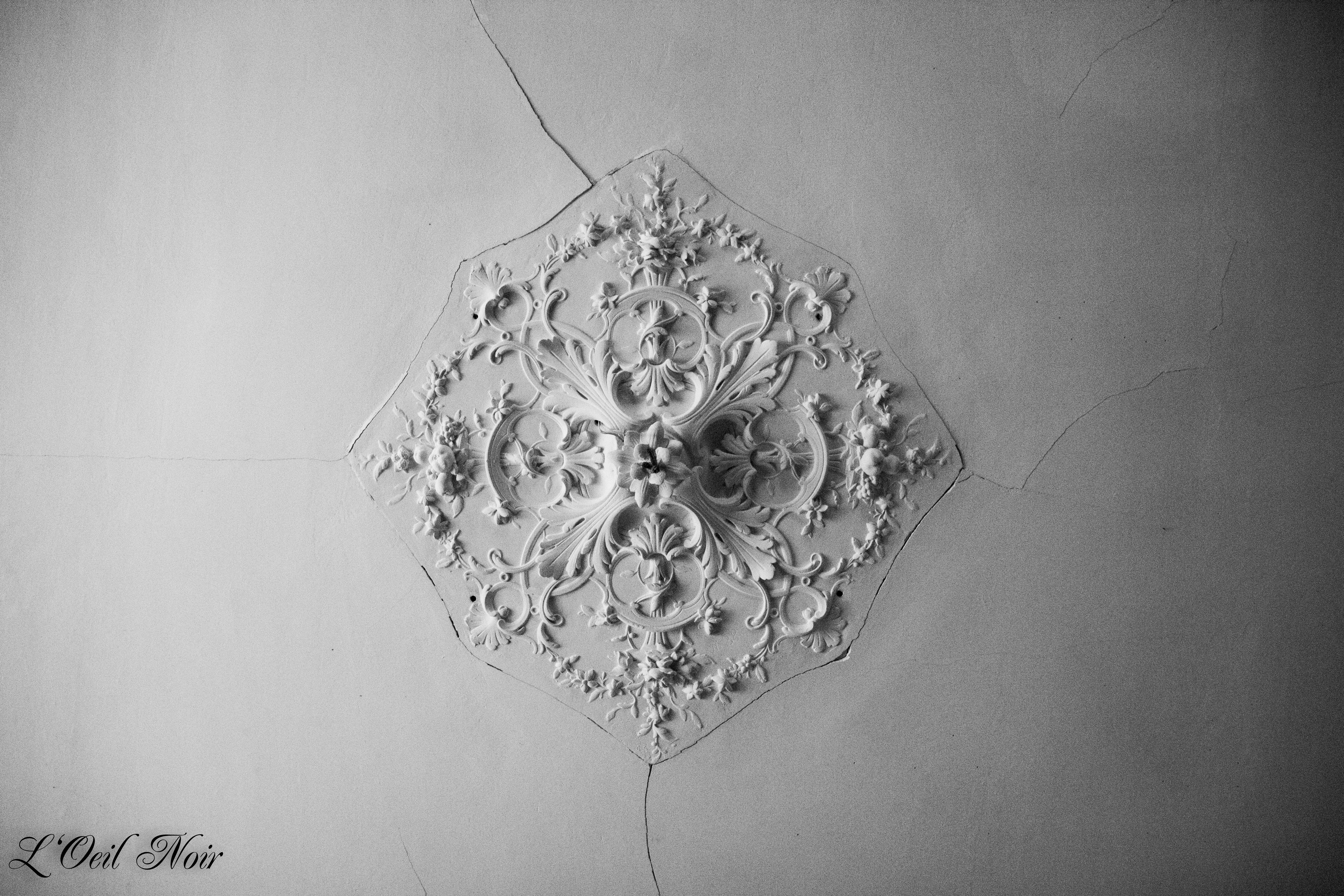 L' Oeil Noir Photographie